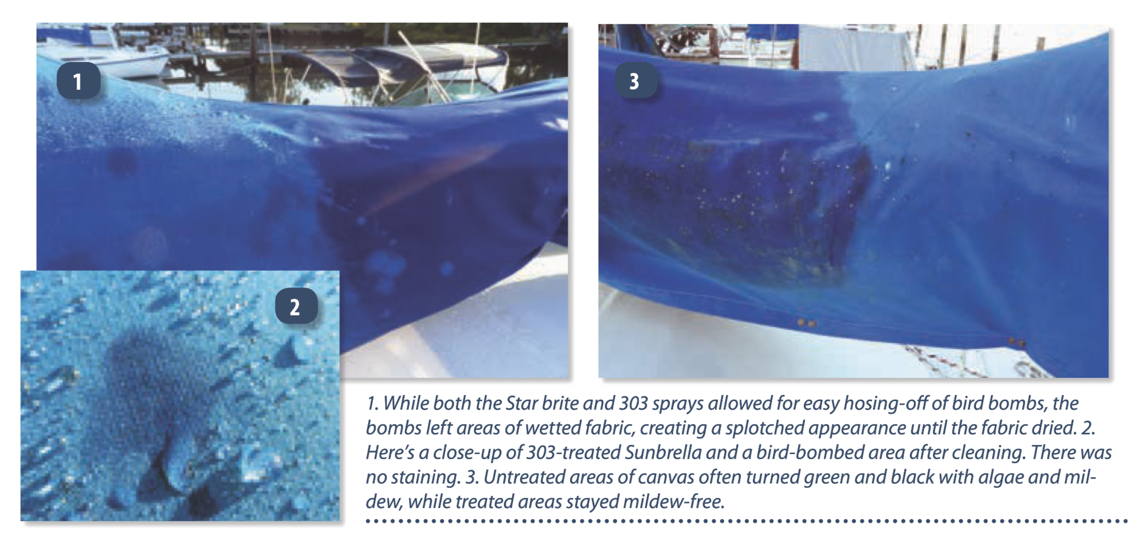 While both the Star brite and 303 sprays allowed for easy hosing-off of bird bombs, the bombs left areas of wetted fabric, creating a splotched appearance until the fabric dried. 2. Here’s a close-up of 303-treated Sunbrella and a bird-bombed area after cleaning. There was no staining. 3. Untreated areas of canvas often turned green and black with algae and mildew, while treated areas stayed mildew-free.